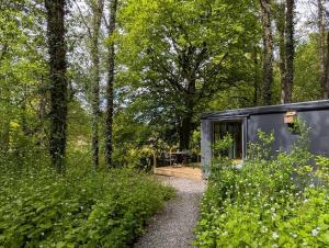 a black tiny house in the woods with a path at Bird Box in Carlisle