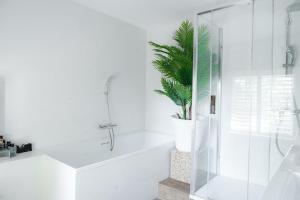 a white bathroom with a plant in the bath tub at Villa De Musschenberg in Beek +59 photos