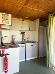 a small kitchen with white cabinets and a sink at Ferme de L'Aoueille in Pouylebon