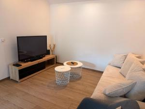 a living room with a couch and a flat screen tv at L apparte Sciez in Sciez