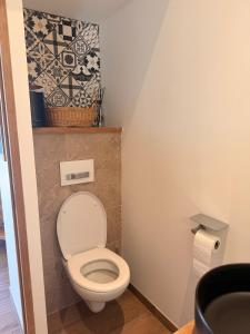 a small bathroom with a toilet and a wall at L apparte Sciez in Sciez +14 photos