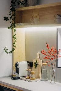 a kitchen counter with a toaster and a plant on it at Monside Resort - AIR CABIN in Borzont
