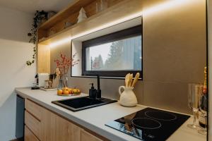 a small kitchen with a sink and a window at Monside Resort - AIR CABIN in Borzont
