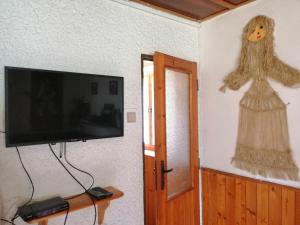 a flat screen tv on a wall with a woman on the wall at Chata v lese pri rieke Bela in Pribylina