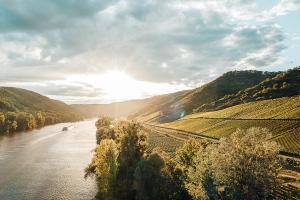 a view of a river with the sun in the background at Mosel Chalets - Design-Ferienhäuser - Terrasse und Traumblick, nähe Cochem - Direkt am Weinberg, Chalet Mitte mit Sauna in Pommern