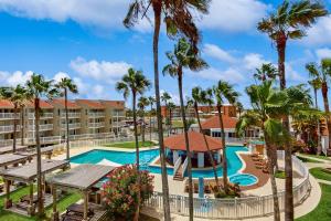 a view of the pool at the resort with palm trees at Gulf Point Condominiums in South Padre Island