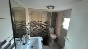 a bathroom with a shower and a sink and a toilet at Gaia Merindades in Salinas de Rosío