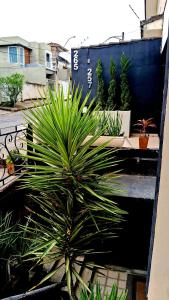 a green plant sitting next to a bench at Suites e Cia - Pousada in Volta Redonda +39 photos
