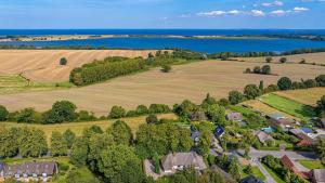 an aerial view of a house with a field and a lake at Weiße Reetdachkate Wohnung 1 in Stöfs