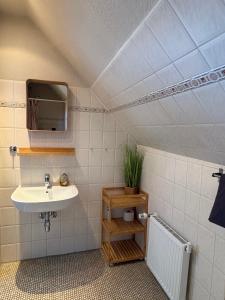 a bathroom with a sink and a mirror at Ostseekoje Koje 5 in Süssau
