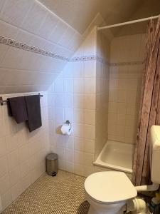 a bathroom with a white toilet and a shower at Ostseekoje Koje 5 in Süssau
