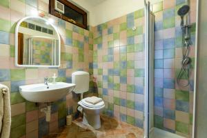 a bathroom with a toilet and a sink and a shower at La finestra sul Chianti in Radda in Chianti