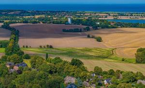 an aerial view of a farm with fields and houses at Weiße Reetdachkate Wohnung 2 in Stöfs