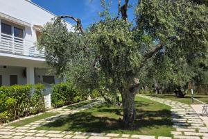 a tree in front of a house at Pilone del Monaco Apartment 9 in Vieste