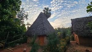 a small hut with a thatched roof with a sky at Rootscape Huts Hostel and Home Stay in Auroville +30 photos