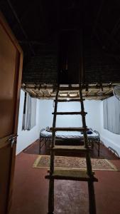 a ladder in a room with two bunk beds at Rootscape Huts Hostel and Home Stay in Auroville