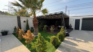 a garden with a palm tree in a backyard at ReVaN in Baku