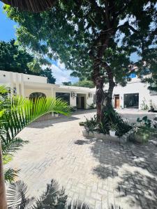 a courtyard with a tree and a building at Cactus Hotel in Dar es Salaam