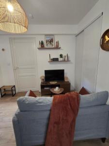 a living room with a blue couch and a table at Lanabi - Studio Cocon in Salies-de-Béarn
