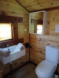 a bathroom with a toilet and a sink and a mirror at Les cabanes féeriques d'Amoncourt in Amoncourt +30 photos