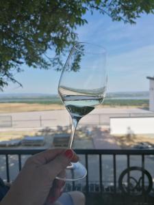 a person is holding a glass of wine at Liget Fruit Garden Family Apartman in Zalakaros