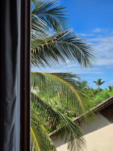 a view of a palm tree from a window at Portal do Kite in Barra Grande