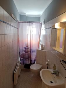 a bathroom with a shower and a toilet and a sink at Stadtnah an der Förde 65 2 in Flensburg