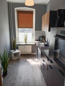 a kitchen with a sink and a window in it at Stadtnah an der Förde 65 2 in Flensburg