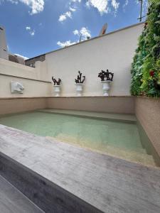 a swimming pool with potted plants on a wall at Hostal Hom Museo in Seville