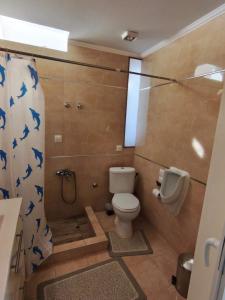 a bathroom with a toilet and a shower at Jones house in Nea Fokea