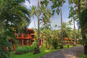 a resort with palm trees in front of a road at Tambor Tropical Beach Resort- Adults Only in Tambor
