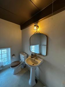 a bathroom with a sink and a toilet and a mirror at Estrup Hovedgaard in Vejen +35 photos