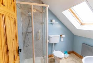 a bathroom with a shower with a toilet and a window at Perewinkle Cottage - Portmagee in Lateeve +31 photos