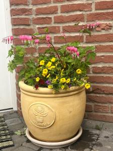 a large pot of flowers sitting next to a brick wall at PusteBlume in Bückeburg