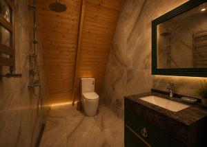 a bathroom with a toilet and a sink and a mirror at Gabala Twin Chalet in Gabala
