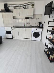 a kitchen with a sink and a washing machine at Вила Стоянови in Yasen