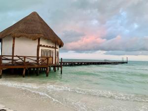 a hut on the beach next to the ocean at Hotel La Casa del Capi in Holbox Island