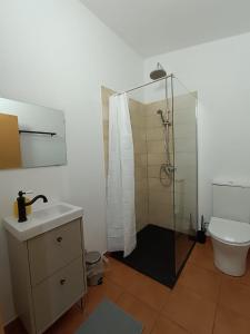 a bathroom with a shower and a toilet and a sink at Casinha do Rui in Sines