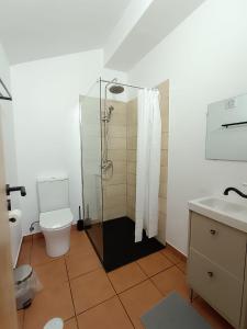 a bathroom with a shower and a toilet and a sink at Casinha do Rui in Sines