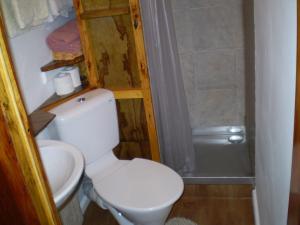 a small bathroom with a toilet and a shower at Federation House in Oamaru