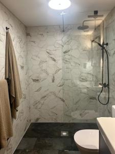 a bathroom with a shower and a toilet at Hawks Hideaway in Warminster