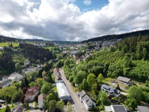 an aerial view of a town with a road and trees at Schwarzwald Lodge Schonach in Schonach