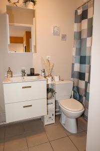 a bathroom with a toilet and a sink at La villa Margats - Charme & détente en bord de mer in Bray-Dunes