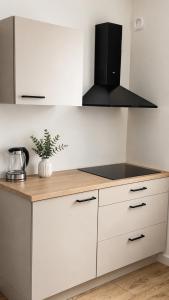 a kitchen with white cabinets and a counter top at VE Apartments Colbitz in Kolbitz +22 photos