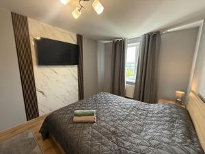 a bedroom with a bed and a flat screen tv at Kogălniceanu 23 in Căuşeni