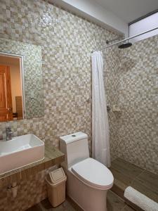 a bathroom with a toilet and a sink and a mirror at Betania in Paracas