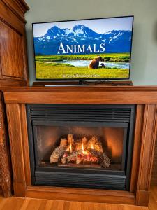a fireplace in a living room with a tv at Victorian Condo in Boston