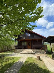 a log cabin with a pathway leading to it at Cabana Soarelui - Valisoara in Vălişoara