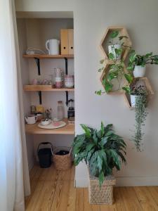 a room with plants on shelves and a table at Chambre calme Aux Iris in Grandvelle-et-Perrenot +49 photos