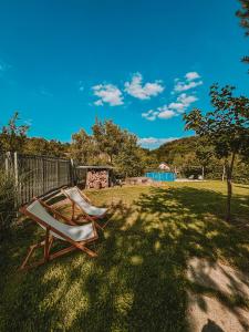 two chairs sitting on the grass in a yard at Nedomek by Homester in Neslovice